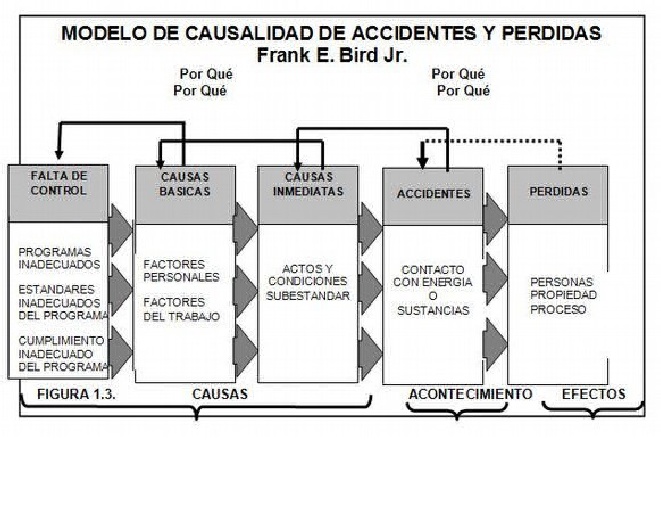 PDF) Modelo de Causalidad Frank Bird 